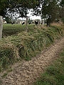 futur trail 047